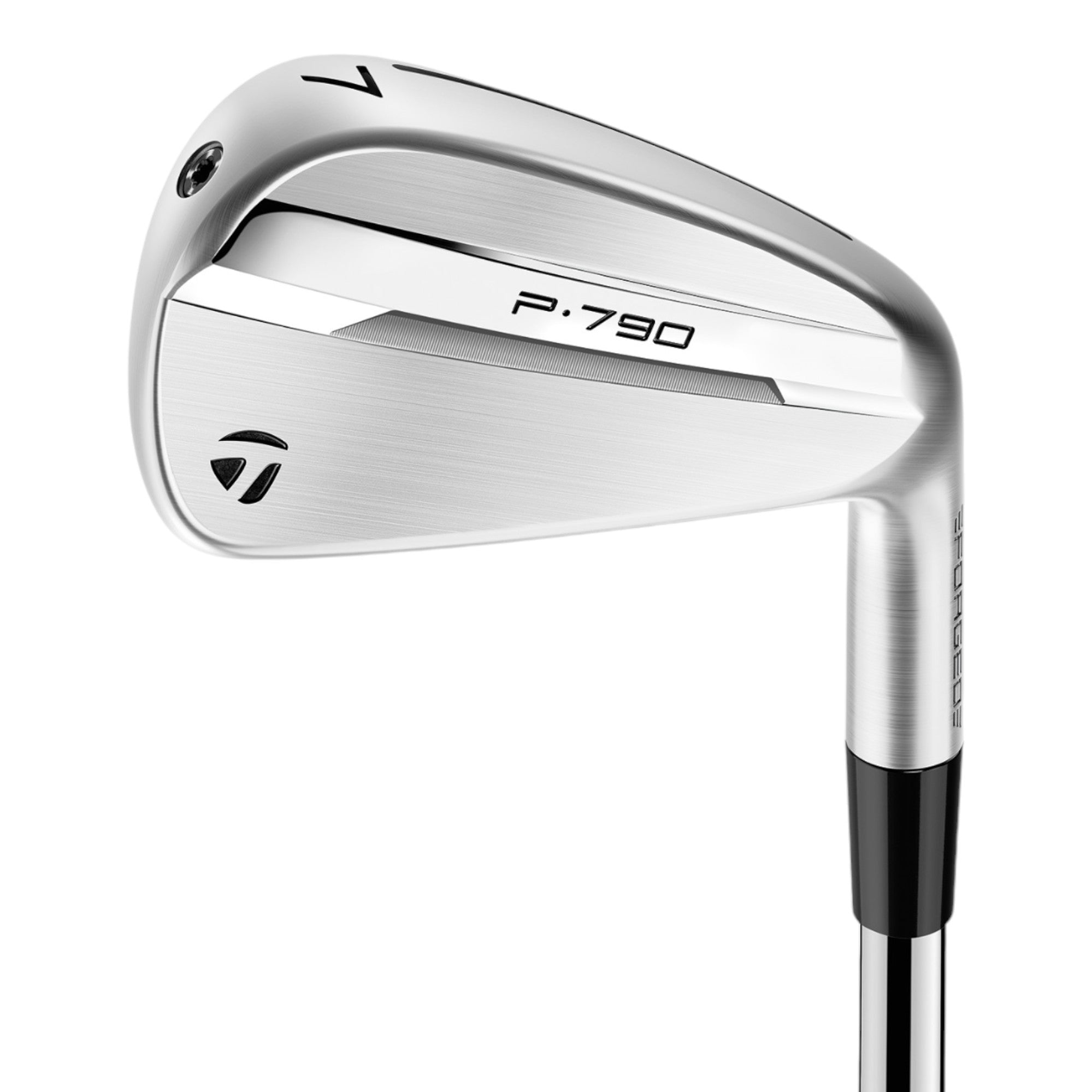 TaylorMade P790 Golf Irons | Steel